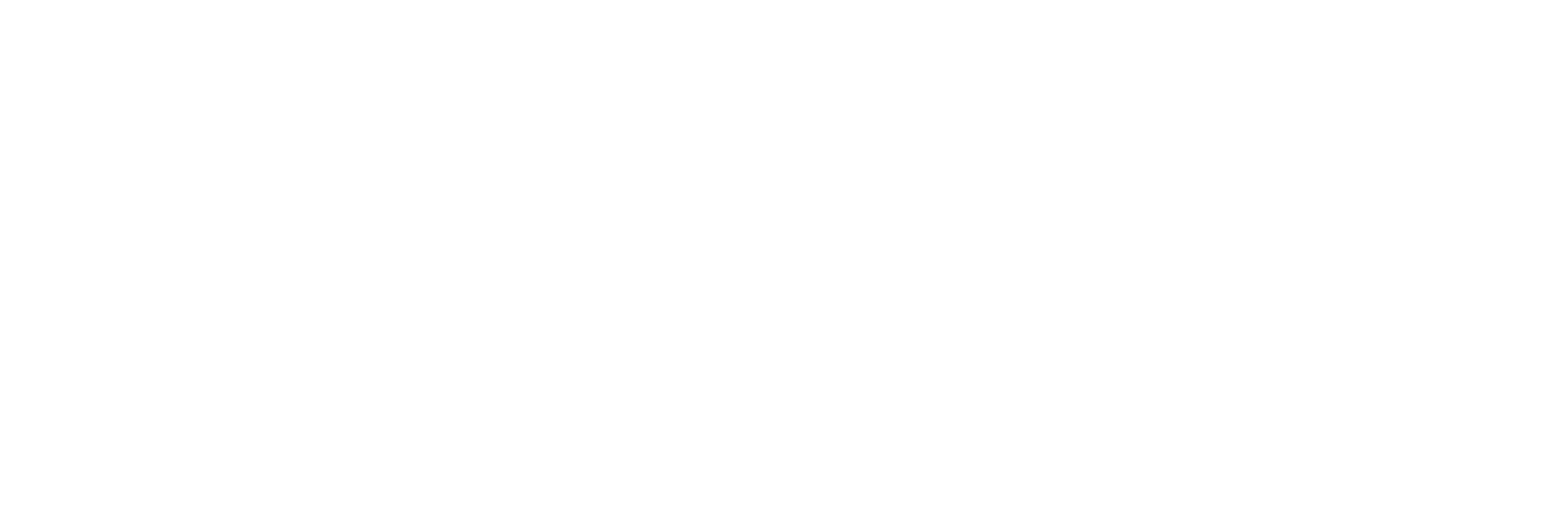 BrainWave Club